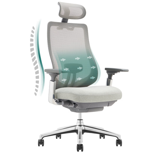 MALOL High Back Ergonomic Desk Chair Office Chair with Adjustable Headrest and 4D Arms, Slide Seat, Tilt Lock-DarkXK-LightGrey