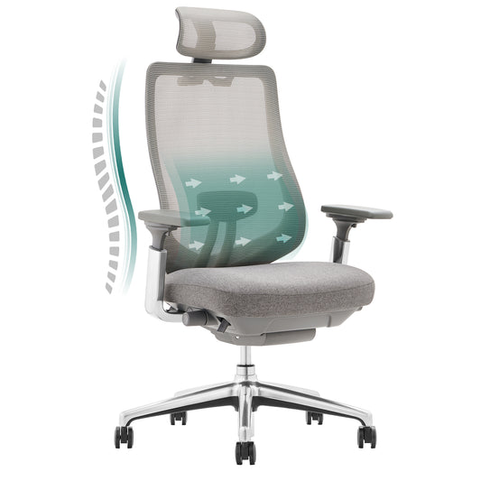 MALOL High Back Ergonomic Desk Chair Office Chair with Adjustable Headrest and 4D Arms, Slide Seat, Tilt Lock-DarkXK-DarkGrey